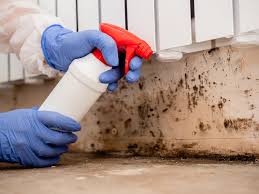 Forensic Mold Investigation in Gaithersburg, MD